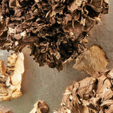 Dried Maitake Mushrooms 2 Ounce